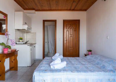 vila-ina-1-neos-marmaras-4