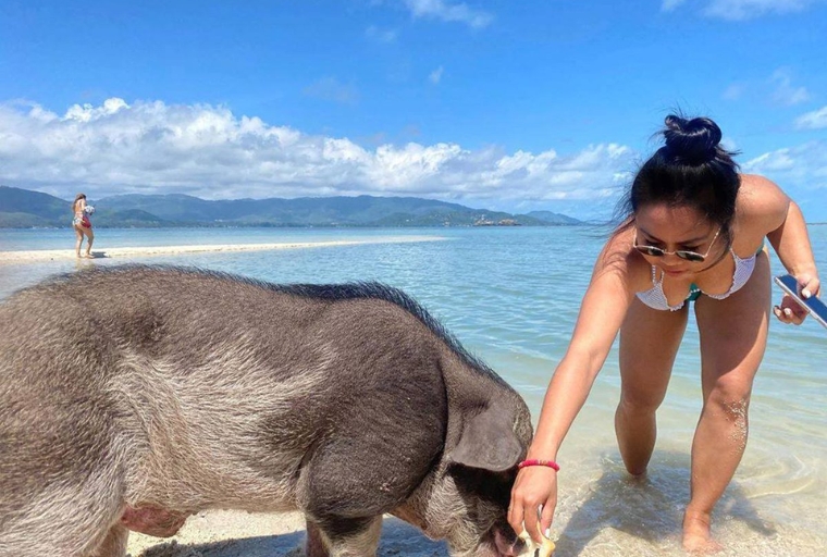 Samui Island Safari 3