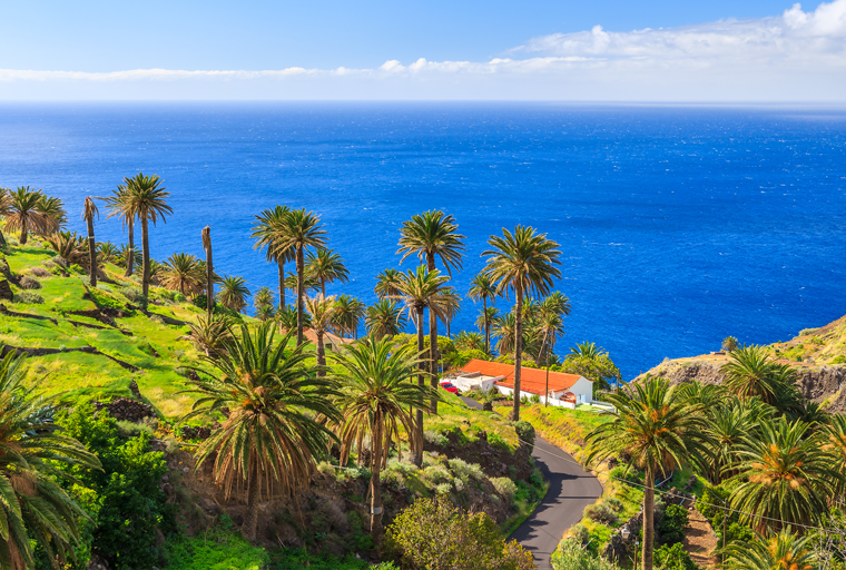 La-Gomera-Tenerife-Disko-Travel