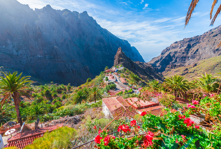 Selo-Maska-Tenerife-Disko-Travel2