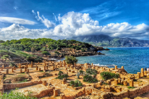 tipaza-alzir