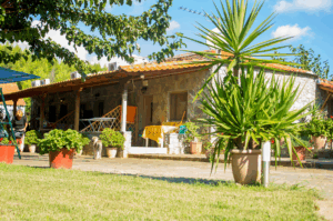 Flower bungalovi Toroni