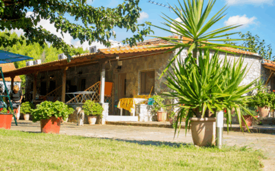 Flower bungalovi Toroni